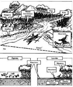 Gambar 1. Ekosistim Pesisir 
