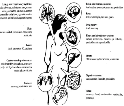 Gambar 8. Organ-organ Tubuh Manusia yang Dapat Dipengaruhi oleh Polutan. 