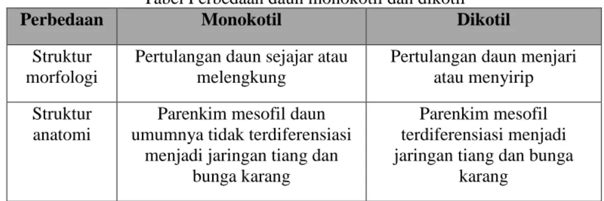 Tabel Perbedaan daun monokotil dan dikotil 