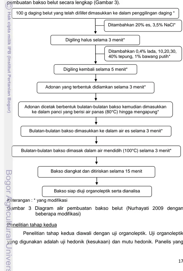 Gambar  3  Diagram  alir  pembuatan  bakso  belut  (Nurhayati  2009  dengan  beberapa modifikasi) 