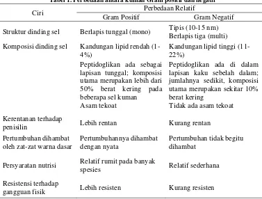 Tabel 1. Perbedaan antara kuman Gram positif dan negatif 
