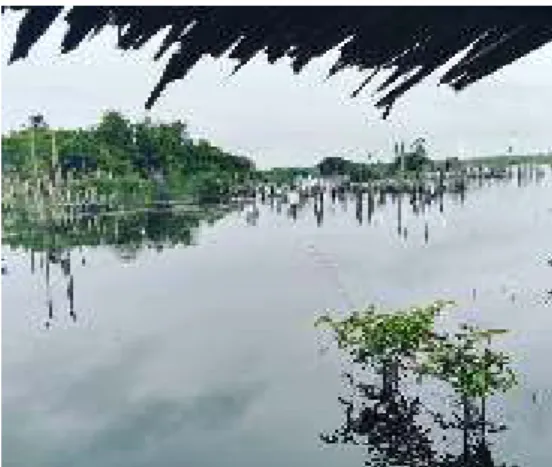 Gambar  1.  Panorama  Kawasan  Sungai  Upang  Desa  Tanah  Bawah  Kab.Bangka. 