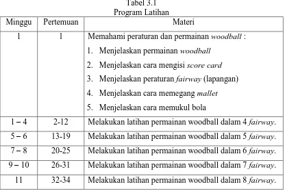 Tabel 3.1 Program Latihan 