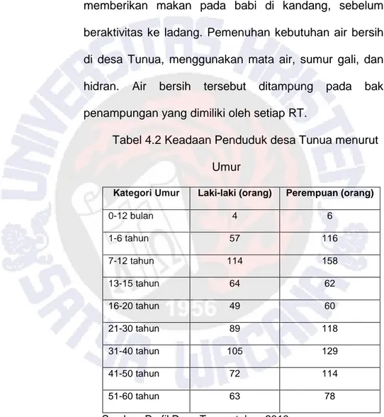 Tabel 4.2 Keadaan Penduduk desa Tunua menurut  Umur 