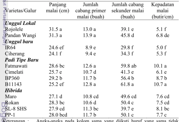 Tabel  6  Panjang malai, jumlah cabang primer dan sekunder malai, dan kepadatan  malai padi varietas unggul 