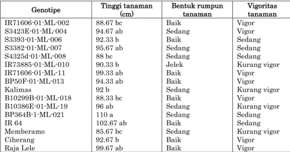 Tabel 2.  Penampilan umur bunga, jumlah malai bobot 1000 butir, gabah isi  dari 16  galur padi sawah di  Tumpang, Malang