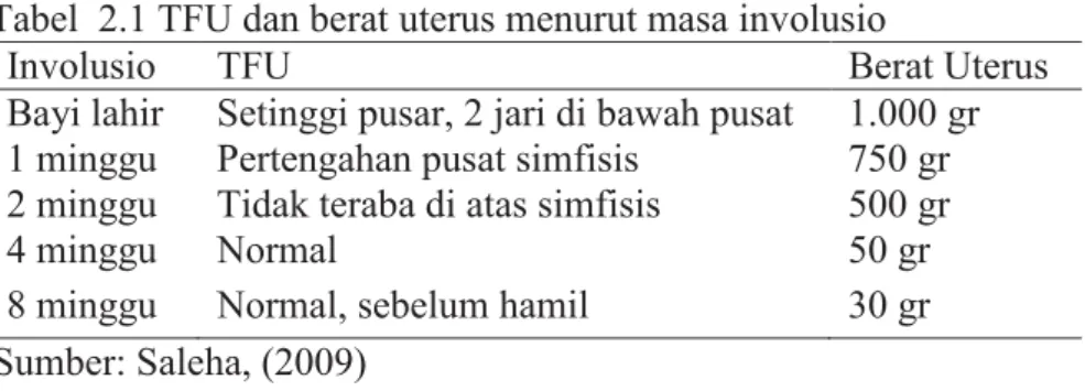 Tabel  2.1 TFU dan berat uterus menurut masa involusio  