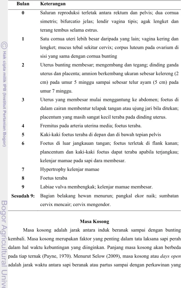 Tabel 1. Diagnosa Kebuntingan pada Sapi melalui Palpasi Rektal Bulan Keterangan