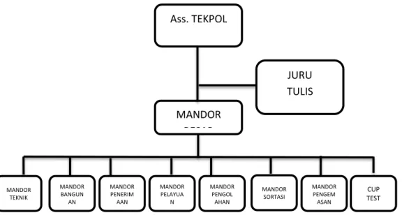 Gambar  2.3.3  Struktur  Organisasi  Pabrik  PT.  Perkebunan  Nusantara  XII  Wonosari 