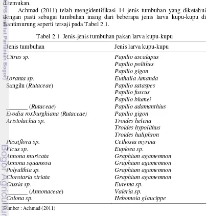 Tabel 2.1  Jenis-jenis tumbuhan pakan larva kupu-kupu 