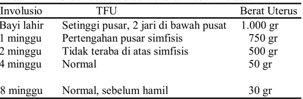 Tabel 2.1 TFU dan berat uterus menurut masa involusio