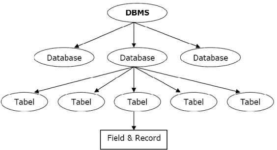 Gambar II.6. Hirarki Database  Sumber : Achmad Solihin, 2010:7 