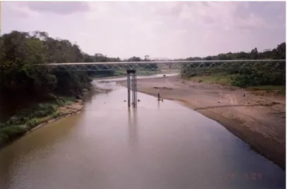 Gambar  6.   Sedimentasi di hulu  jembatan Bantar 