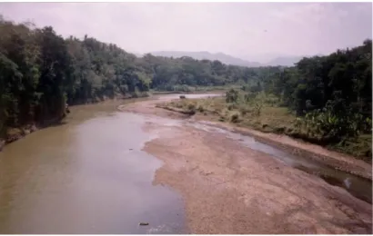 Gambar  7.   Sedimentasi di hilir jembatan Bantar 