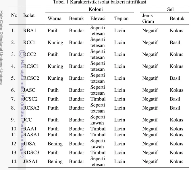 Tabel 1 Karakteristik isolat bakteri nitrifikasi  No  Isolat 