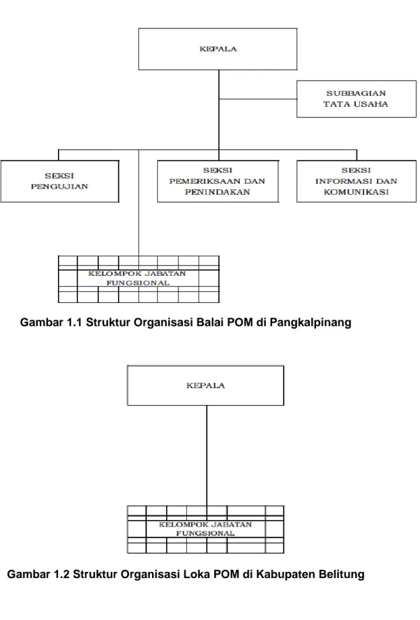 Gambar 1.2 Struktur Organisasi Loka POM di Kabupaten Belitung 