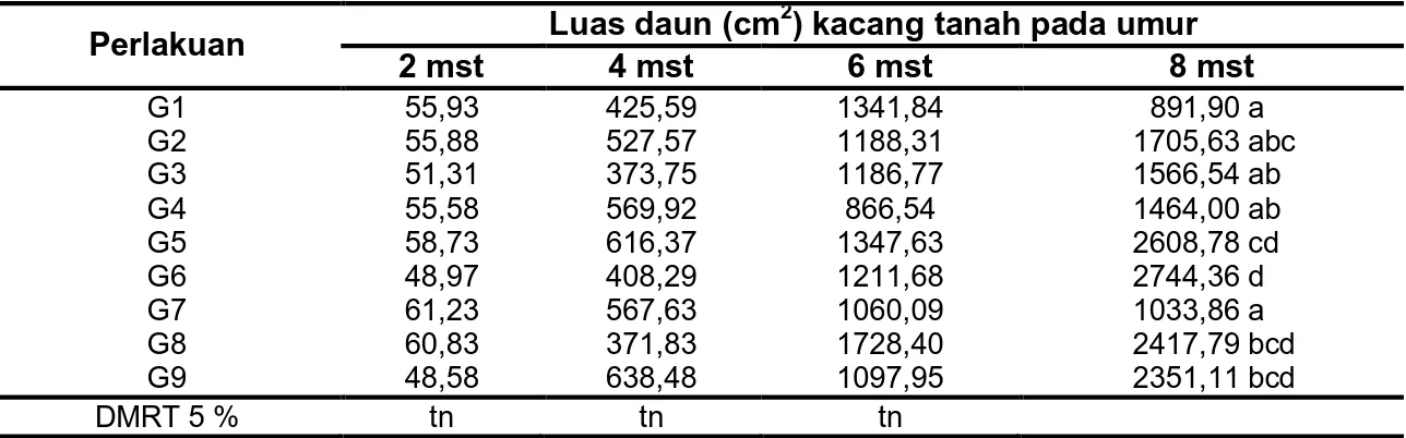 Tabel 4 Rerata Luas Daun (cm 2 ) Kacang Tanah Akibat Perlakuan Waktu Penyiangan Gulma 