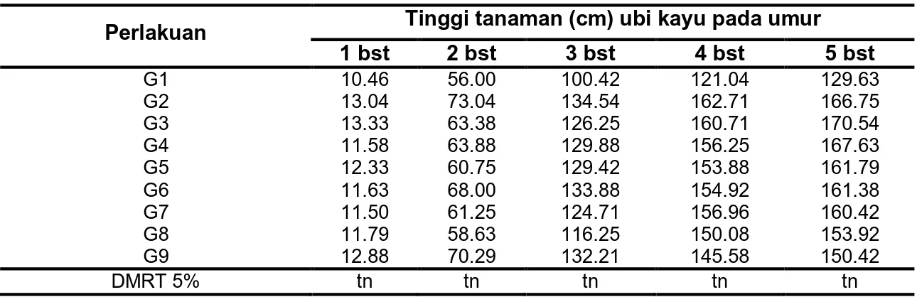 Tabel 7 Rerata Tinggi Tanaman (cm) Ubi Kayu Akibat Perlakuan Waktu Penyiangan Gulma  Perlakuan  Tinggi tanaman (cm) ubi kayu pada umur 