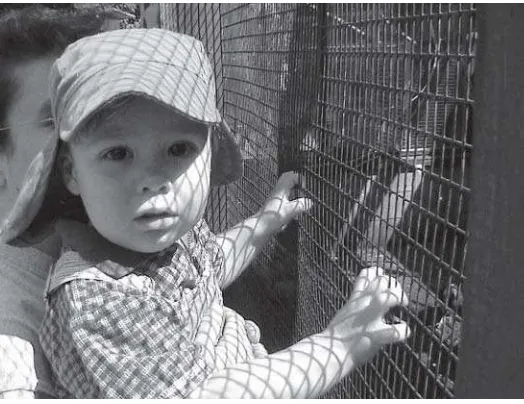 Figure 1.9: Even if the wire fence were not visible in the scene, youwould know the shape and proximity of the object casting theshadow on the child