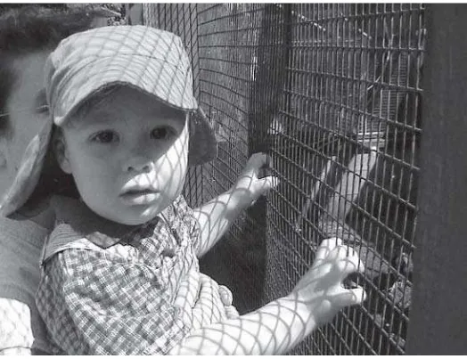 Figure 1.9: Even if the wire fence were not visible in the scene, youwould know the shape and proximity of the object casting theshadow on the child