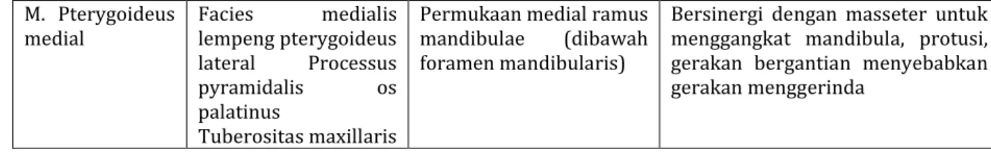 Gambar 3. Berbagai macam gerakan pada TMJ 