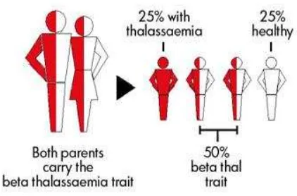 Gambar 1. Skema penurunan penyakit talase-mia (dikutip dari www.usu.ac). 