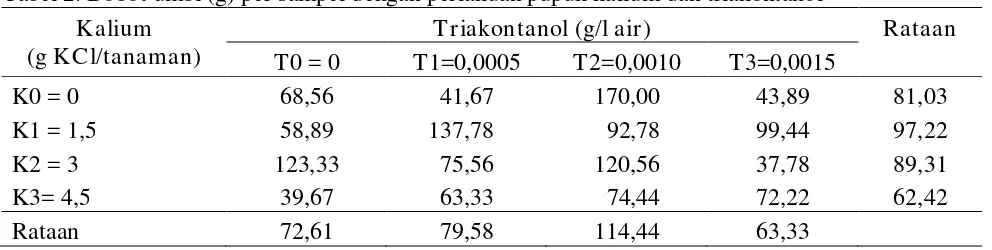 Tabel 2. Bobot umbi (g) per sampel dengan perlakuan pupuk kalium dan triakontanol 