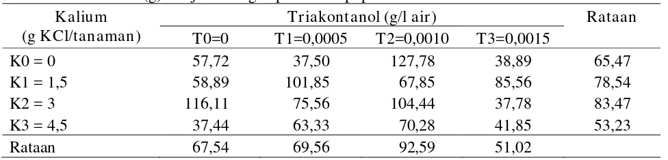 Tabel 4. Bobot  umbi(g) ubi jalar dengan perlakuan pupuk kalium dan  triakontanol 