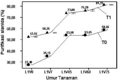 Gambar 4. Purifikasi sianida (%) limbah cair pabrik tapioka hasil remediasi Vetiveria  zizanoides pada hari ke 61