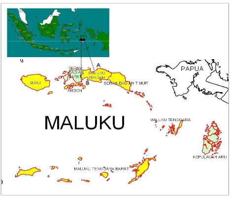 Gambar 1. Lokasi penelitian: A. Desa Besi, Seram Utara, Kabupaten Maluku Tengah dan B