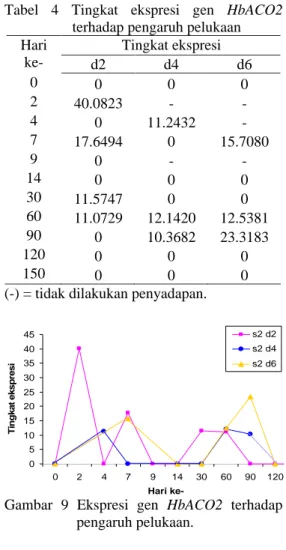 Tabel  4  Tingkat  ekspresi  gen  HbACO2  terhadap pengaruh pelukaan 