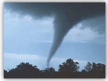 Gambar  tersebut,  merupakan  gejala  angin  tornado  yang  terjadi  di  wilayah  bagian  Amerika