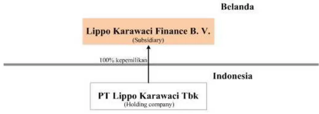 Gambar 5. Skema Subsidiary Company 