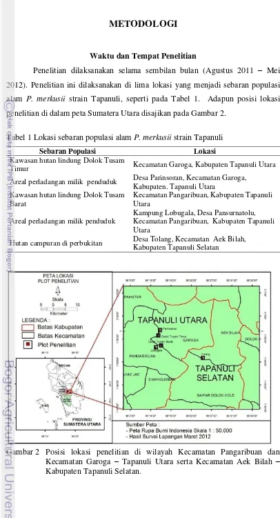 Gambar 2 Posisi lokasi penelitian di wilayah Kecamatan Pangaribuan dan Kecamatan Garoga – Tapanuli Utara serta Kecamatan Aek Bilah –Kabupaten Tapanuli Selatan