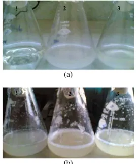 Gambar 5  Variasi media produksi bioflokulan  (a) keadaan awal (b) setelah  kultivasi 42 jam