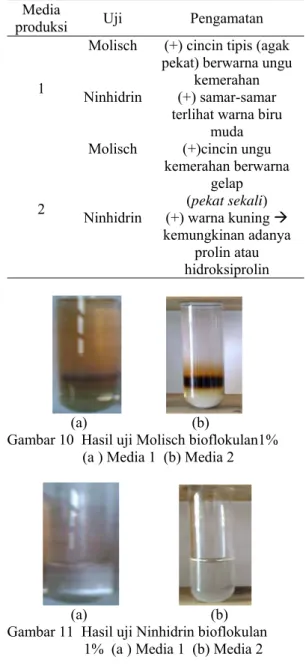 Gambar 10  Hasil  ch biofloku a 2          (b) 