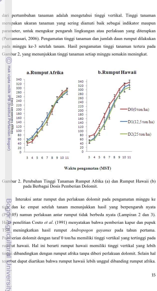 Gambar  2. Perubahan Tinggi Tanaman Rumput  Afrika  (a) dan Rumput  Hawaii (b)  pada Berbagai Dosis Pemberian Dolomit