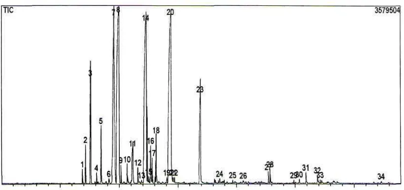 Gambar 1. Kromatogram GC-MS minyak atsiri temu kunci asal Yogyakarta