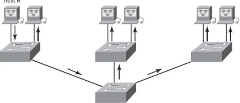 Gambar 2.9 Struktur Flat-network 
