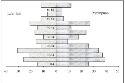 Diagram 2.2. Piramida Penduduk Sampel Desa Namangkewa, 2008  40 30 20 10 0 10 20 30 40 500-410-1420-2430-3440-4450-5460-64PerempuanLaki-laki