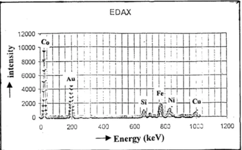 Gambar 3.  Hasil pengamatan multilayer dengan menggunakan EDAX.