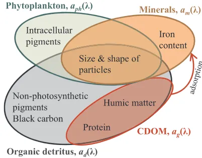 Fig. 6. Same asnerals, phytoplankton, and organic detritus. Note that mineral light absorption coecan be a Fig