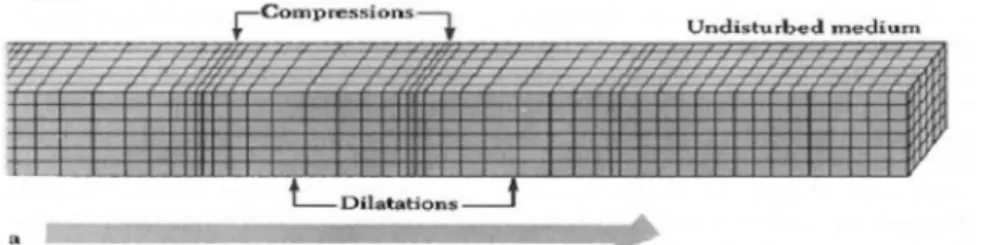 Gambar 8. Ilustrasi gerak gelombang primer (Hidayati, 2010) 