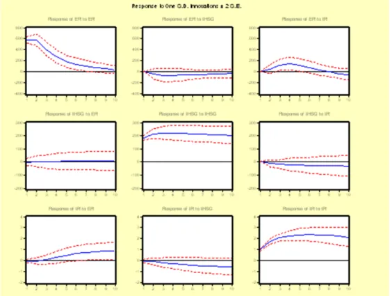 Gambar 1. Impuls Reaction Function 