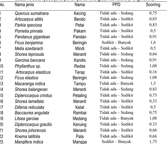 Tabel  4.  Hasil  Pendugaan  Produktivitas  buah  berdasarkan  nila  skor  rata-rata  dalam    satuan 3 bulan pada jenis pohon pakan orangutan sumatera (Pongo abelii) 
