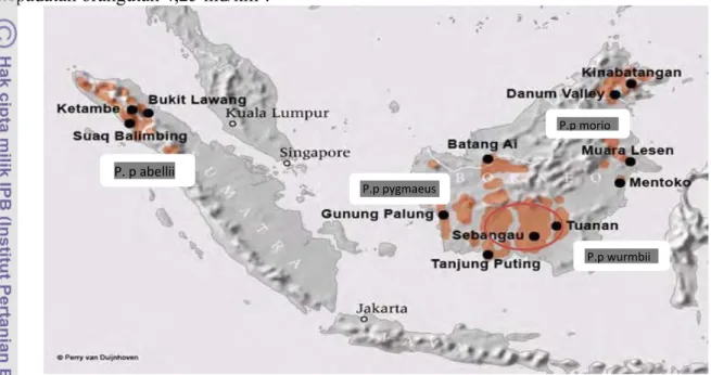 Gambar 2 : Persebaran orangutan di Kalimanatan dan Sumatera, serta Stasiun  Penelitian Orangutan Tuanan(van Schaik et al