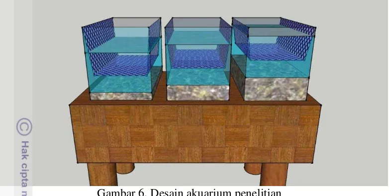 Gambar 6. Desain akuarium penelitian 