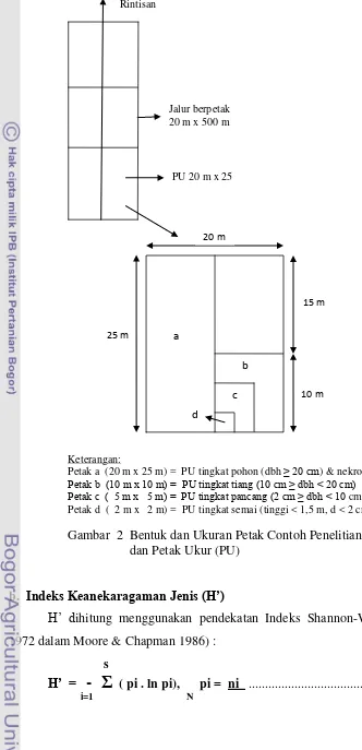 Gambar  2  Bentuk dan Ukuran Petak Contoh Penelitian (PCP)  