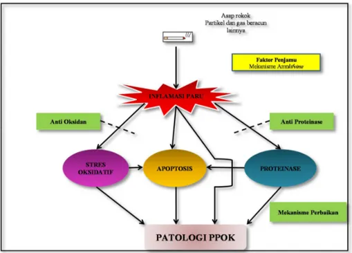 Gambar 1.Empat mekanisme dasar patogenesis PPOK. 