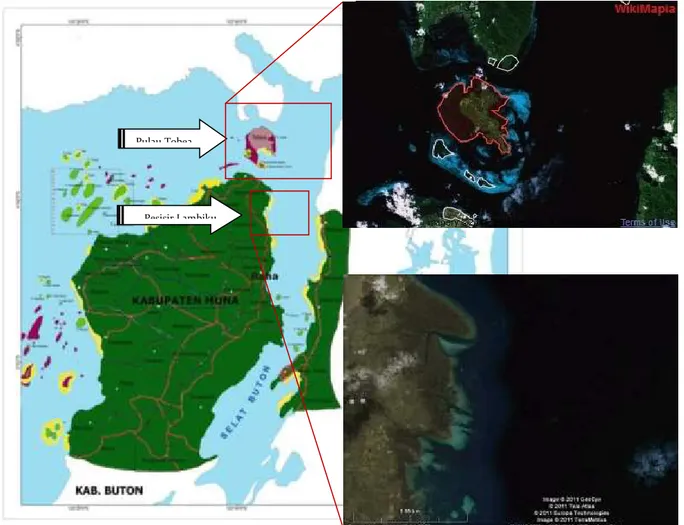 Gambar 2. Lokasi pengambilan contoh kerang lumpur Anodontia edentula Linnaeus, 1758 di  Pulau  Tobea  dan  Pesisir  Lambiku,  Kecamatan  Napabalano,  Kabupaten  Muna  (Sumber: DKP Muna, 2011)